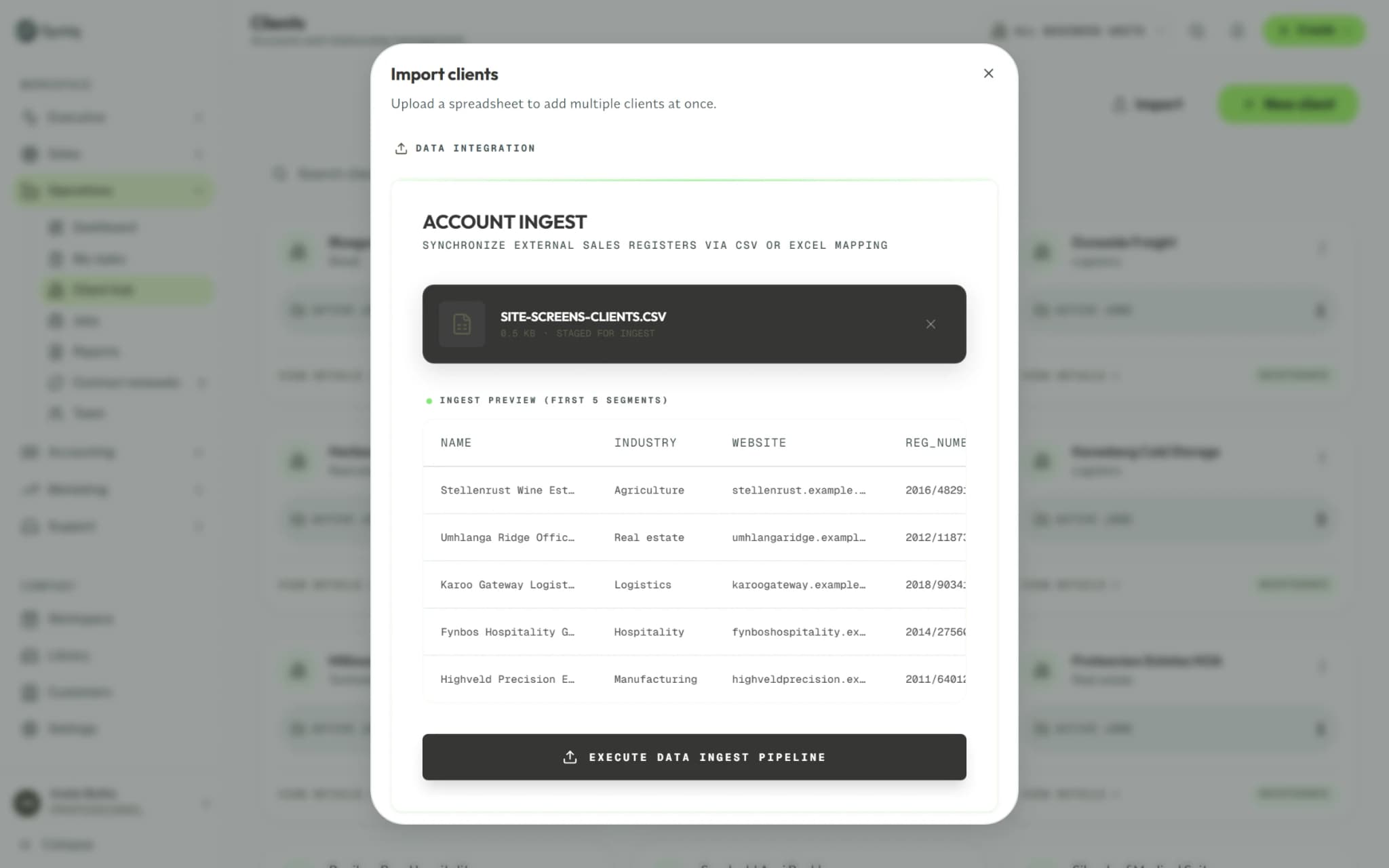 Importing clients into Syniq: a CSV file chosen and its first five rows previewed.